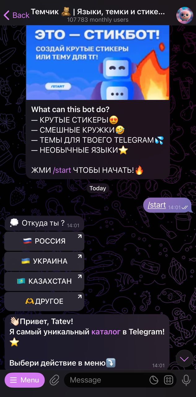 Telegram themes and languages icon