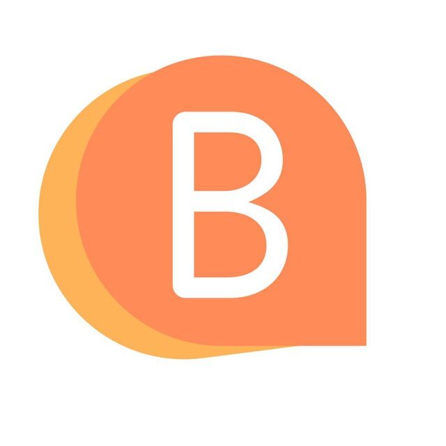 BaslayBot icon