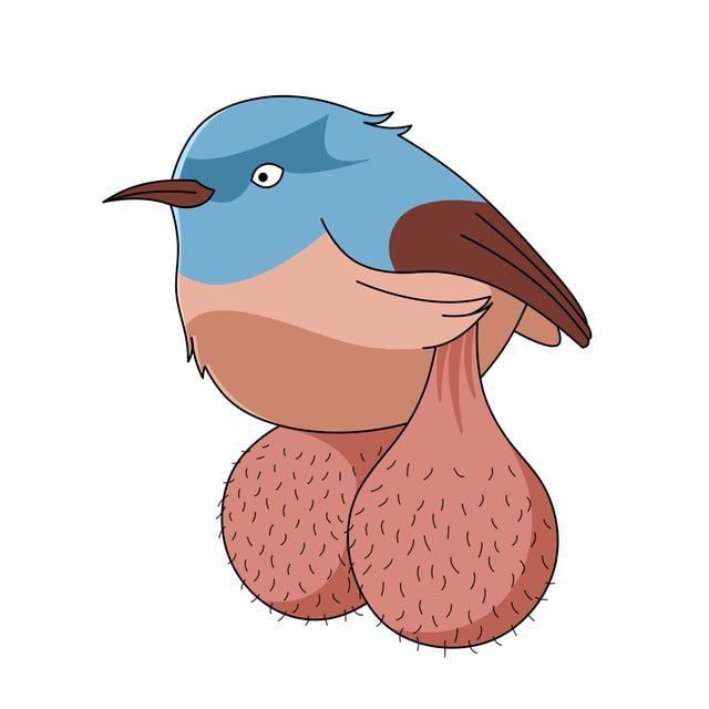 BIG BALLS BIRDS BOT icon