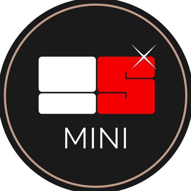 TS mini icon