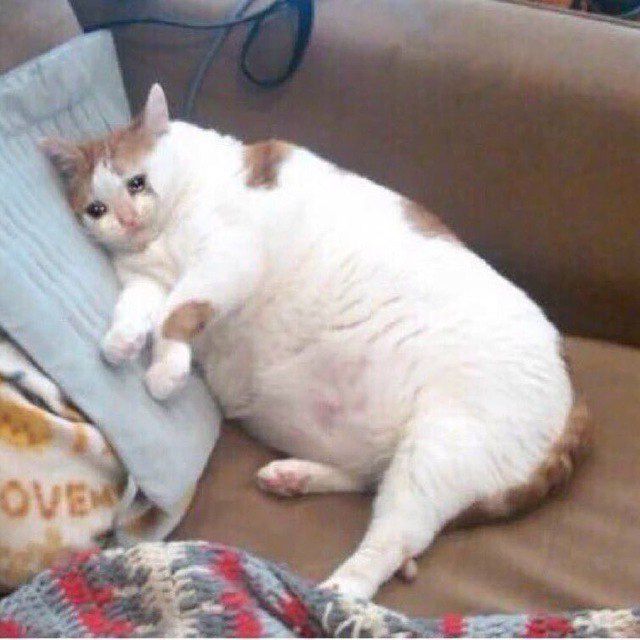 MODusyn on TIKus TOKusyn icon