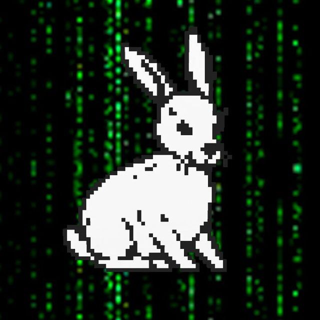 DIstrict Clash // PunkCity icon