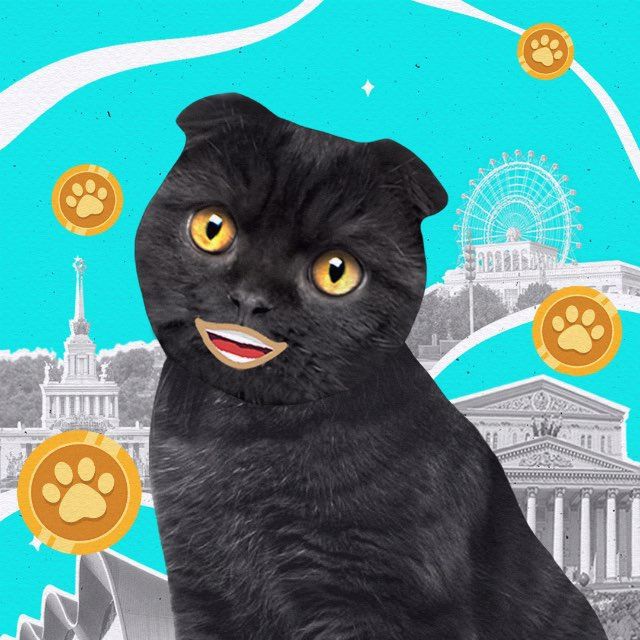 Moscow 24 | Mini App icon